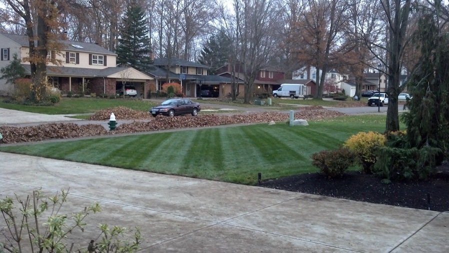 Expertly mowed lawn with crisp, well-defined stripes by Shoreline Yardworks