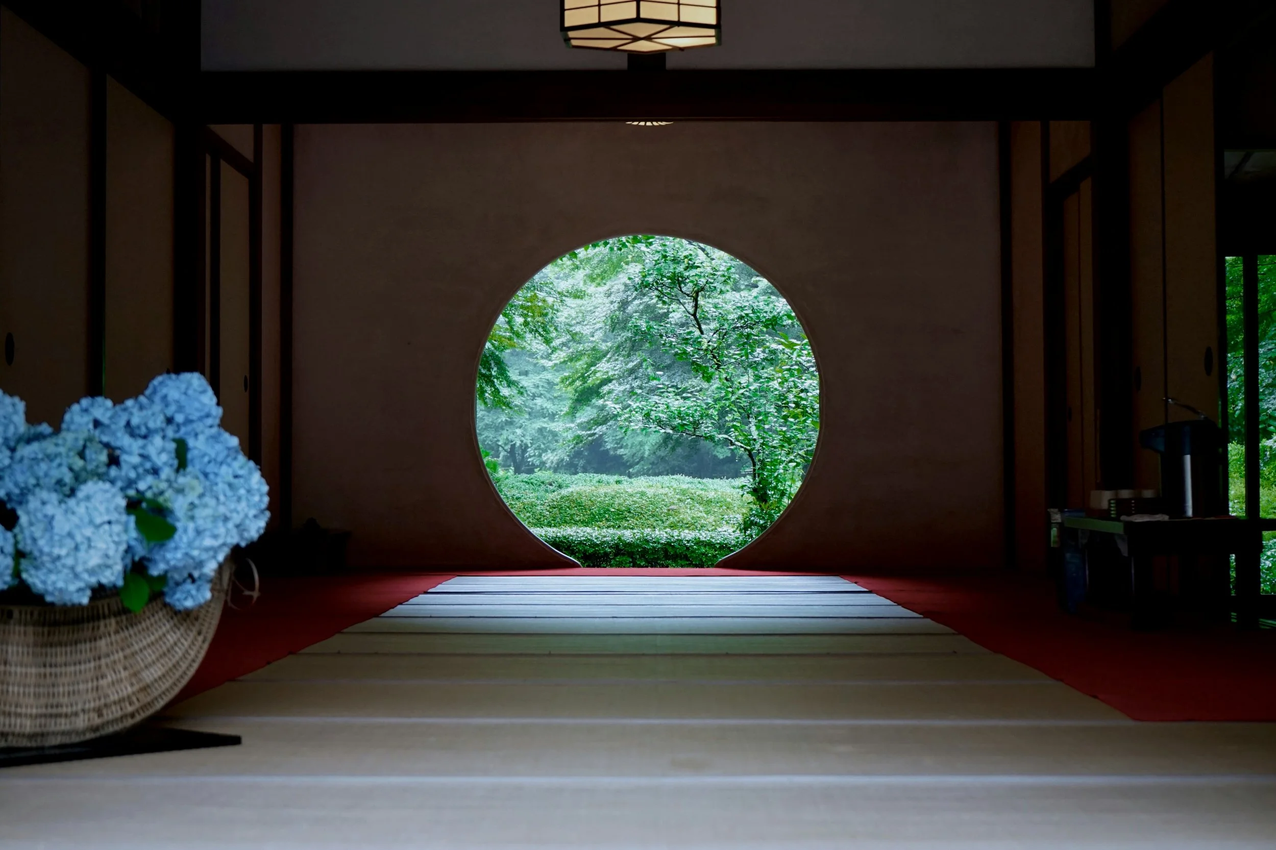A grounded, expansive moment of integration