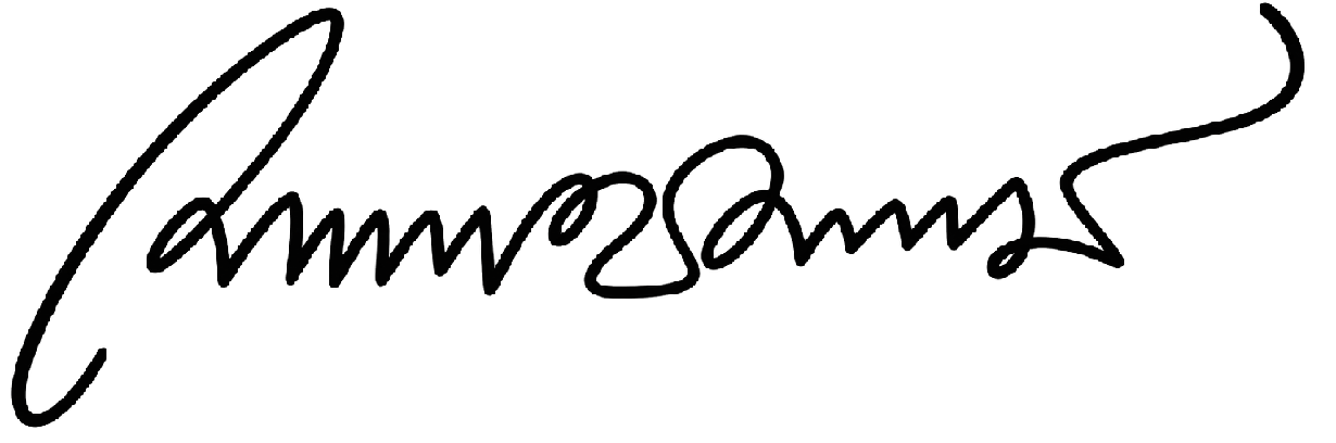 Chairperson signature