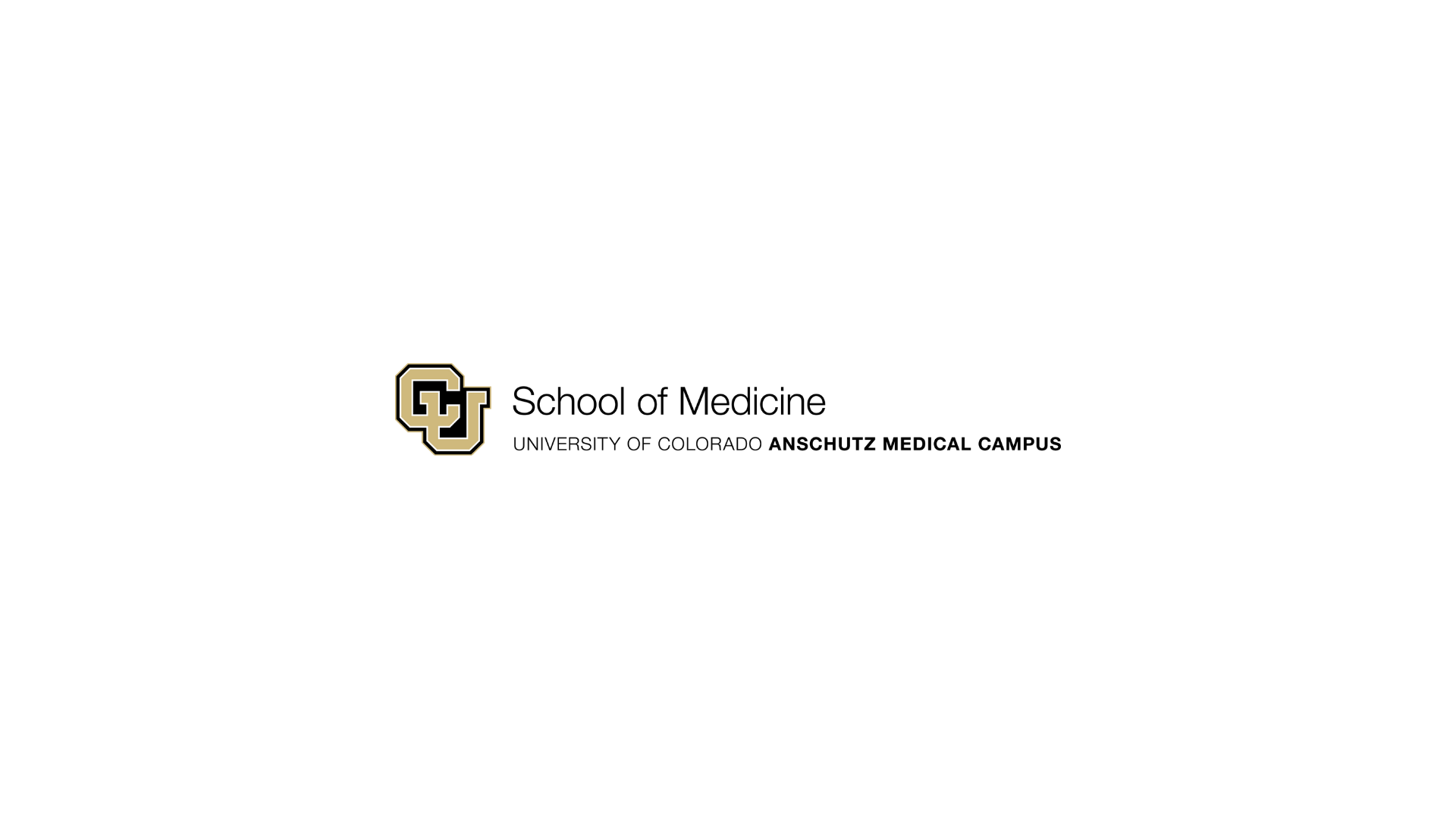 Partner 3
