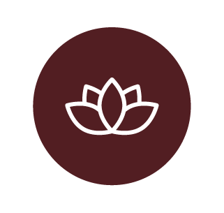 Life Stress and Transitions icon