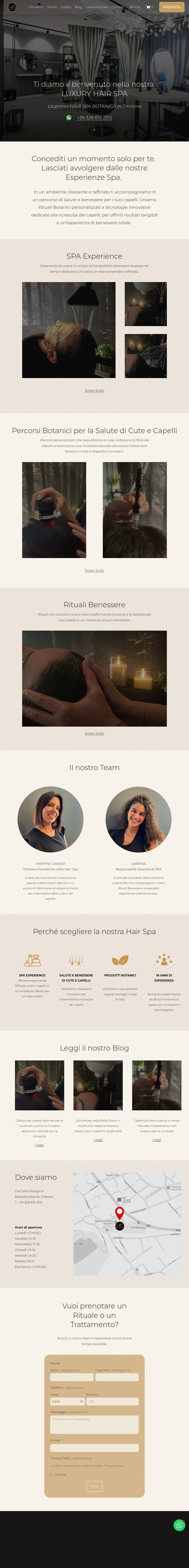 Luxury Hair Salon and Spa website
