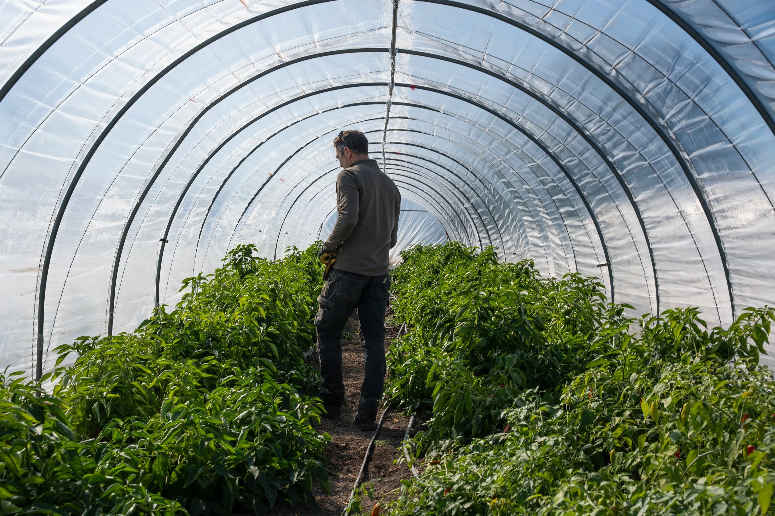 Architectural detail and family business context at the development site in Prince Edward County, Ontario for the Globe Content Studio feature.