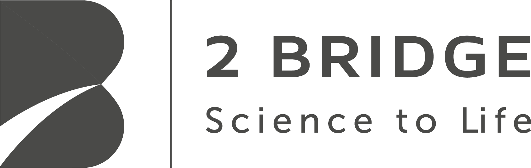 2 Bridge