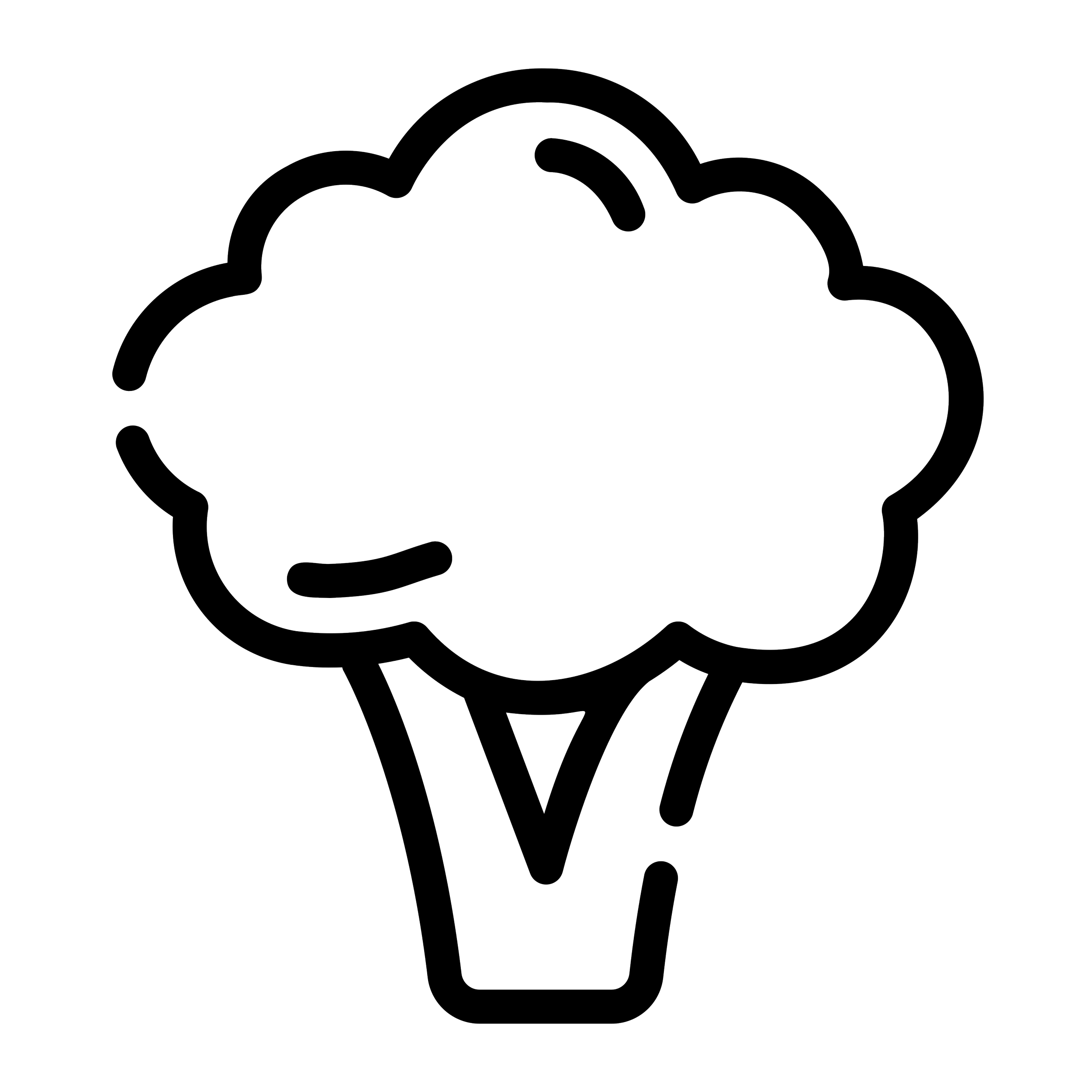 Broccoli Icon