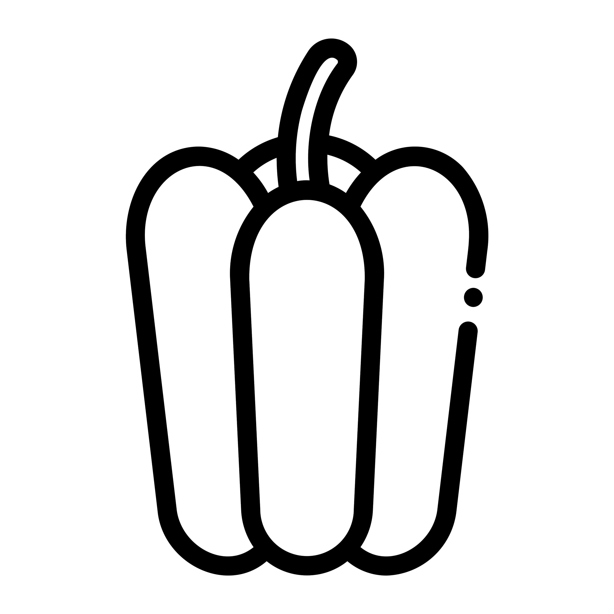 Red Pepper Icon