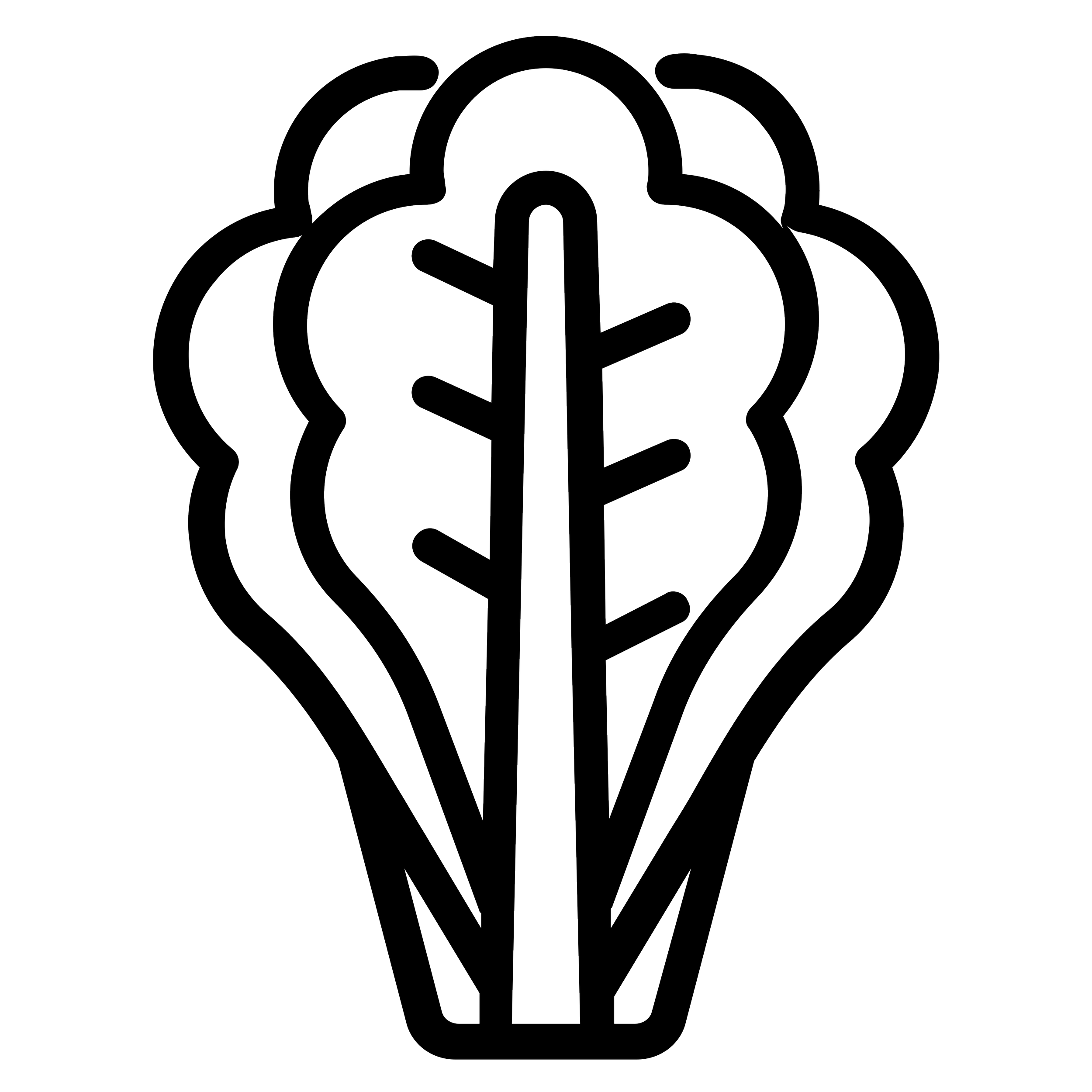 Lettuce Icon