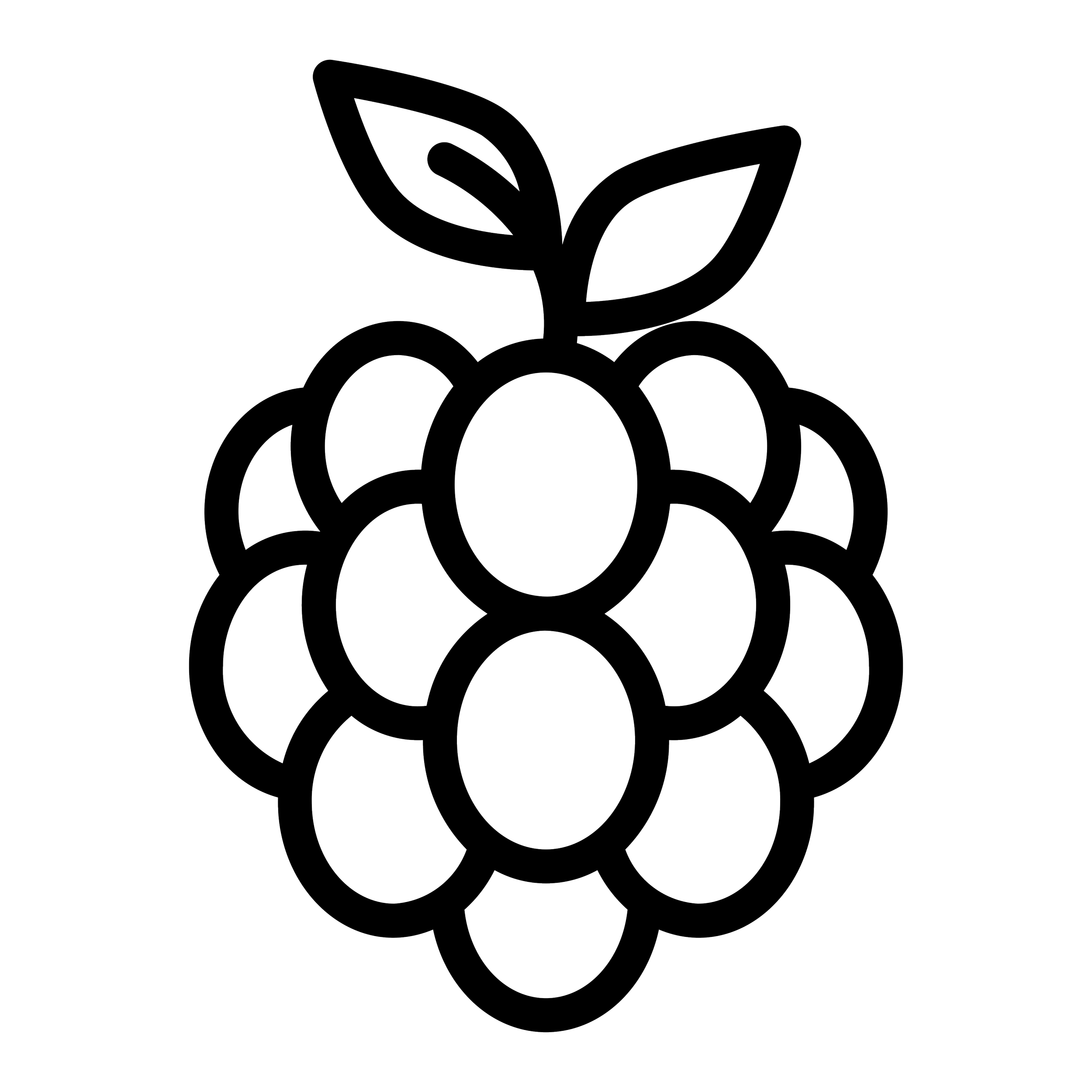 raspberry Icon