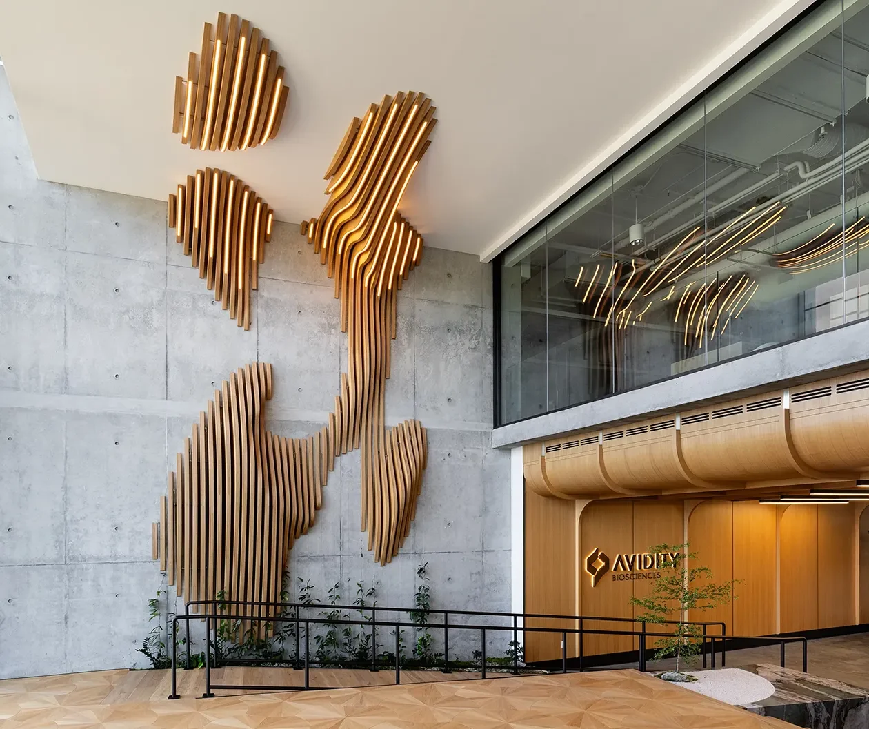 Curved wood slat cloud forms mounted on a concrete lobby wall at Avidity Biosciences in San Diego