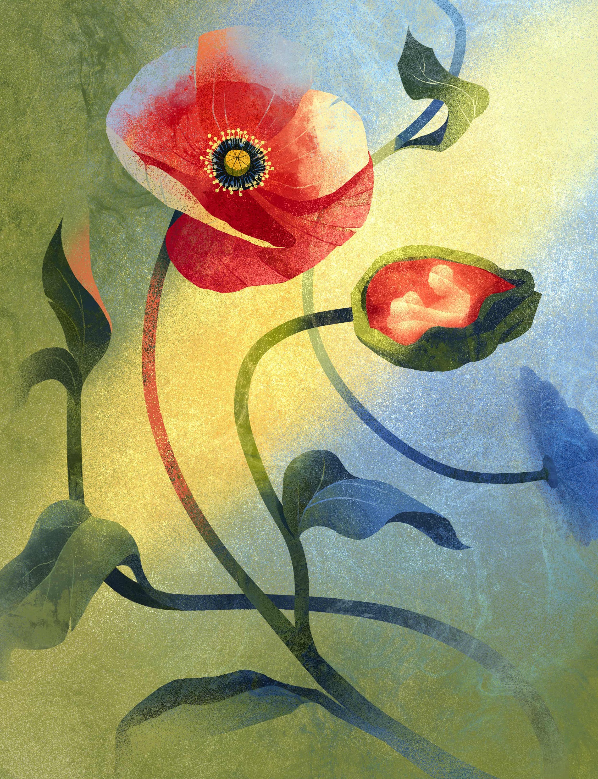 Editorial illustration depicting blooming poppies with a flower bud containing a mother and child silhouette, symbolizing motherhood, pregnancy, fertility, nurturing, and the cycle of new life.