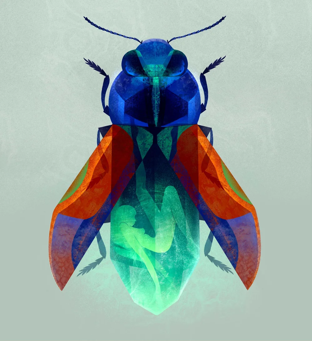 Conceptual illustration of a jewel-like beetle with a human figure inside its translucent body, symbolizing transformation, inner identity, and metamorphosis.