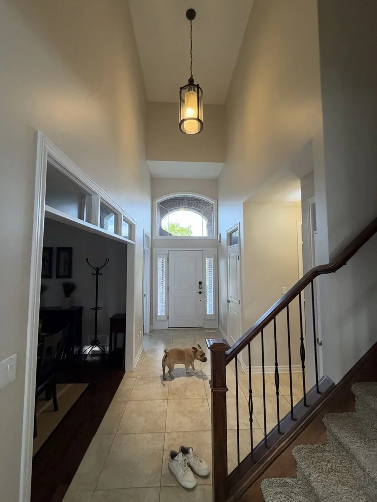 High front entrance and staircase freshly painted in London, Ontario
