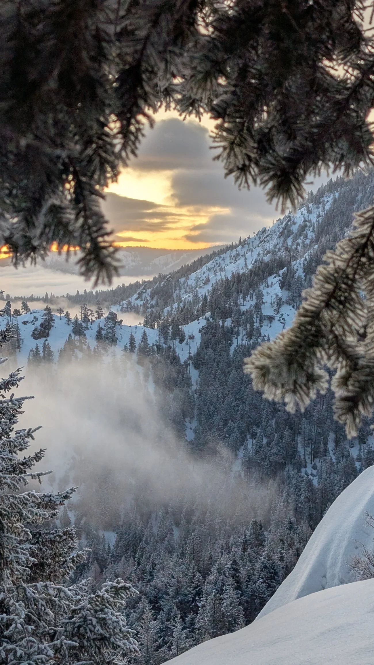 Mountain valley in winter fog