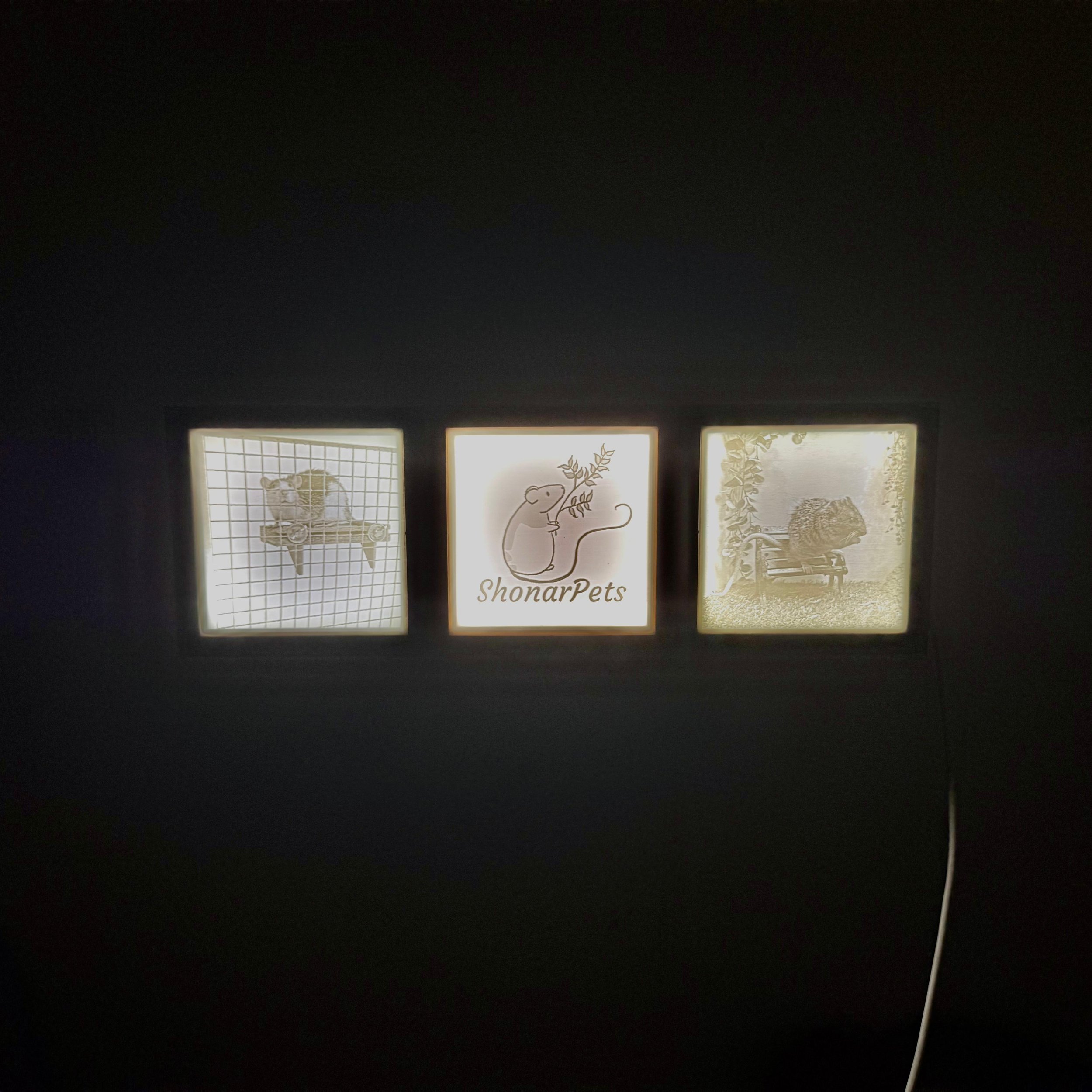 Verlicht fotoframe met logo en ratjes van klein bedrijf