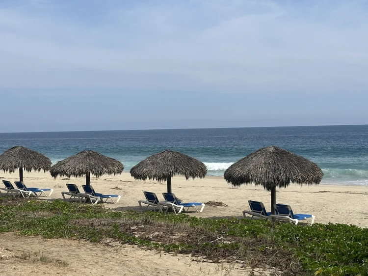 Beach palapas and loungers near Lot V75 at Vivo Resorts