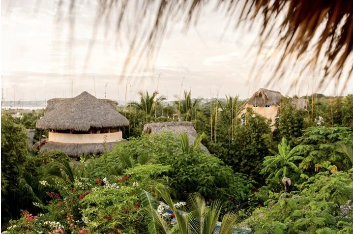 Elevated view over tropical treetops and palapa roofs to the ocean at Barbarenas Eco Retreat, La Punta