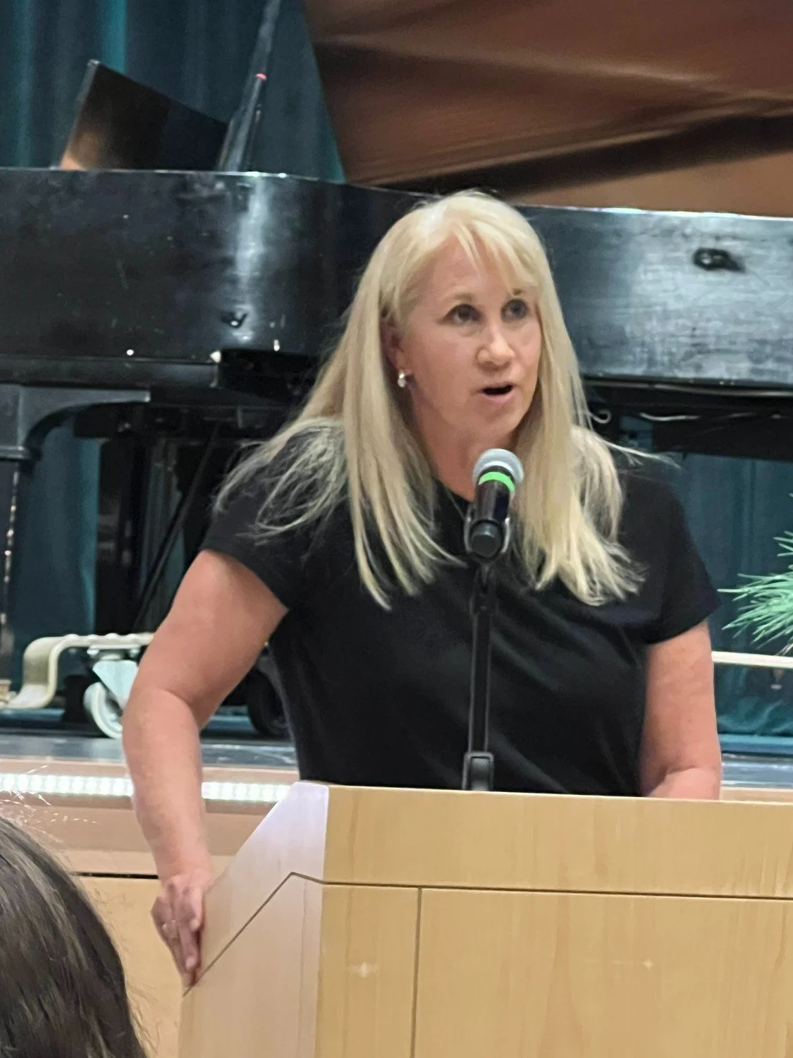 SEED President Sue Vitko addressing the audience at the award ceremony