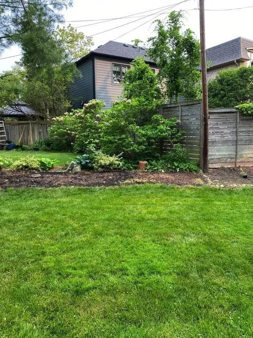 Old backyard fence before replacement in Toronto