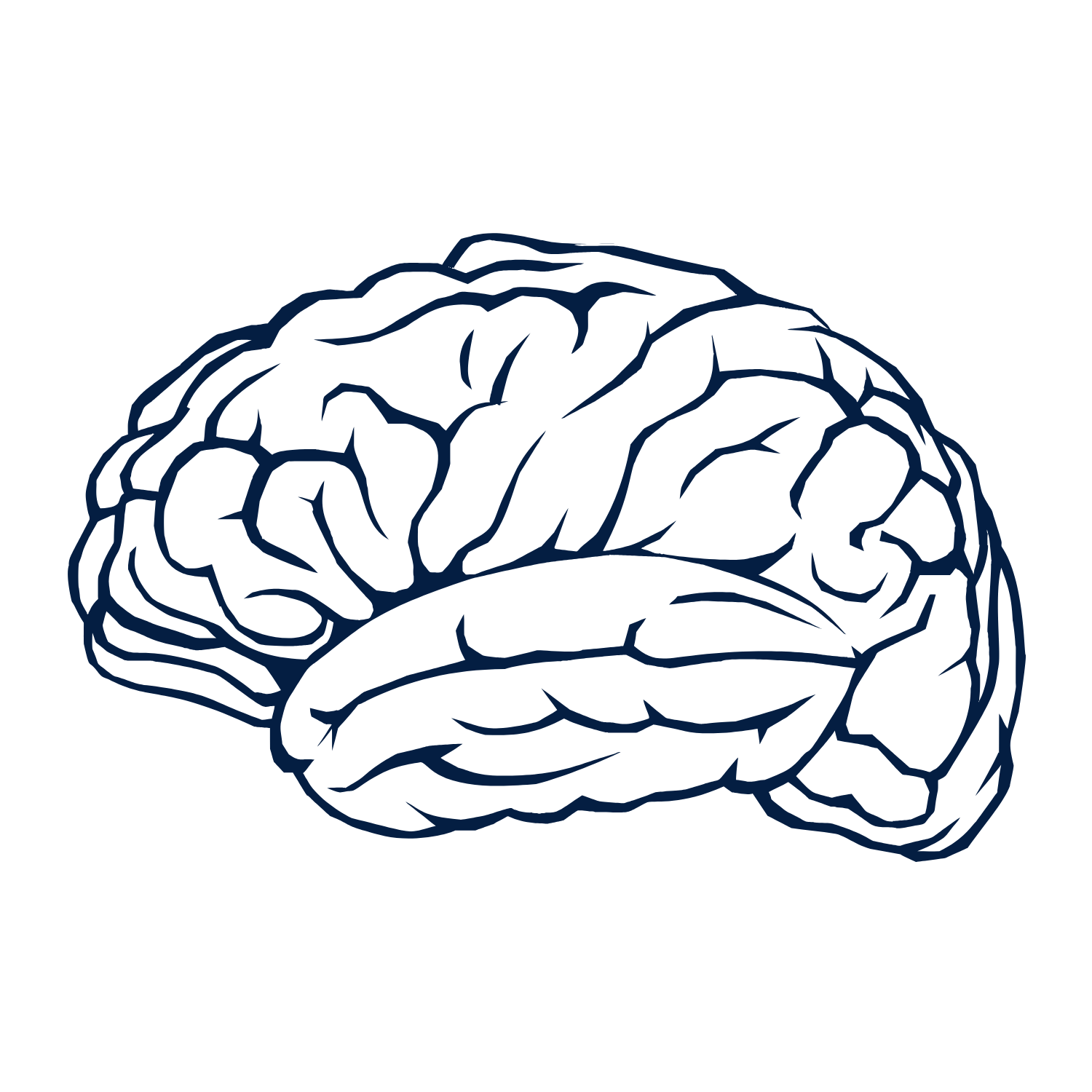 Executive Functioning Icon