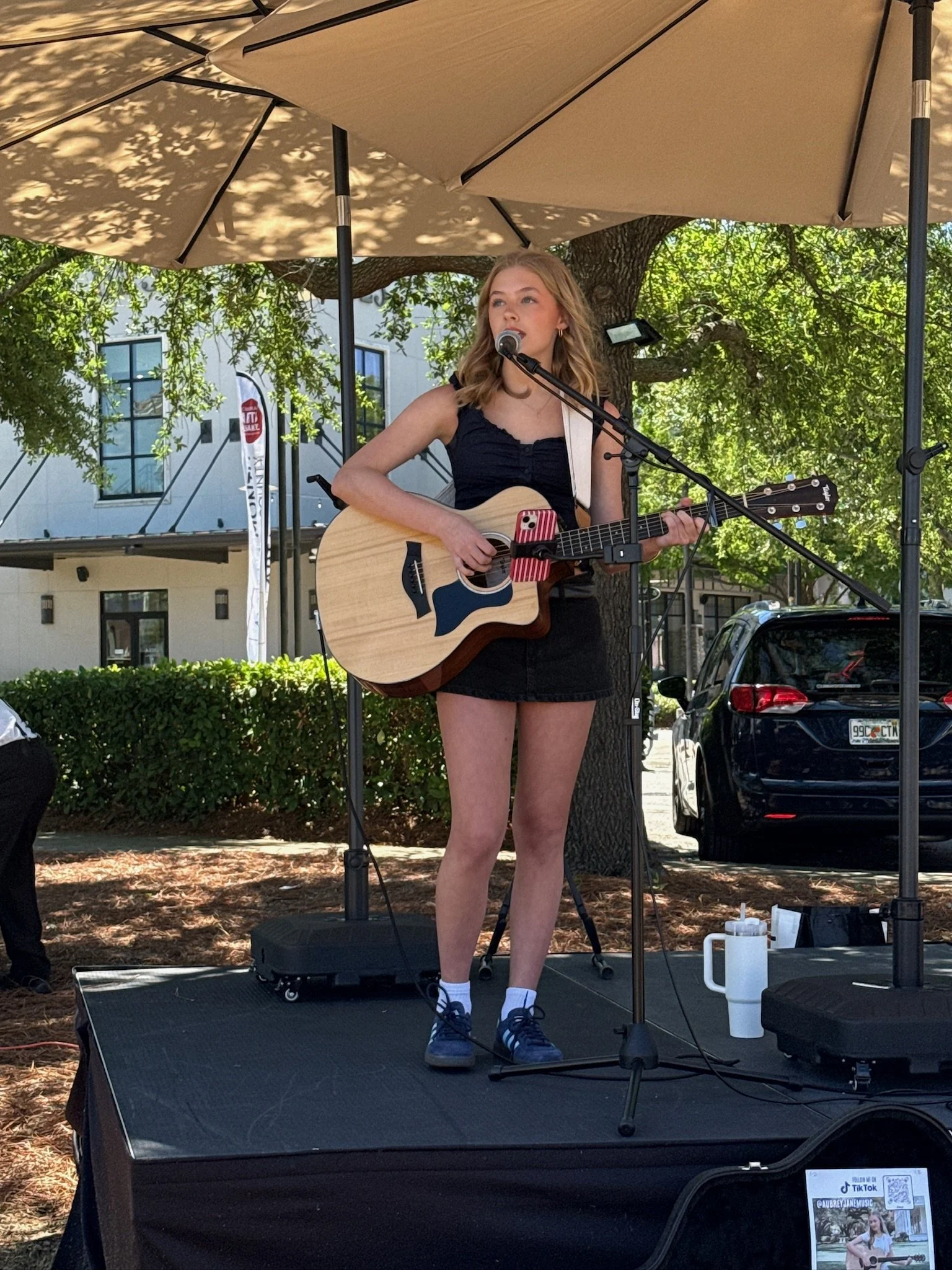 Aubrey Jane Arts Festival