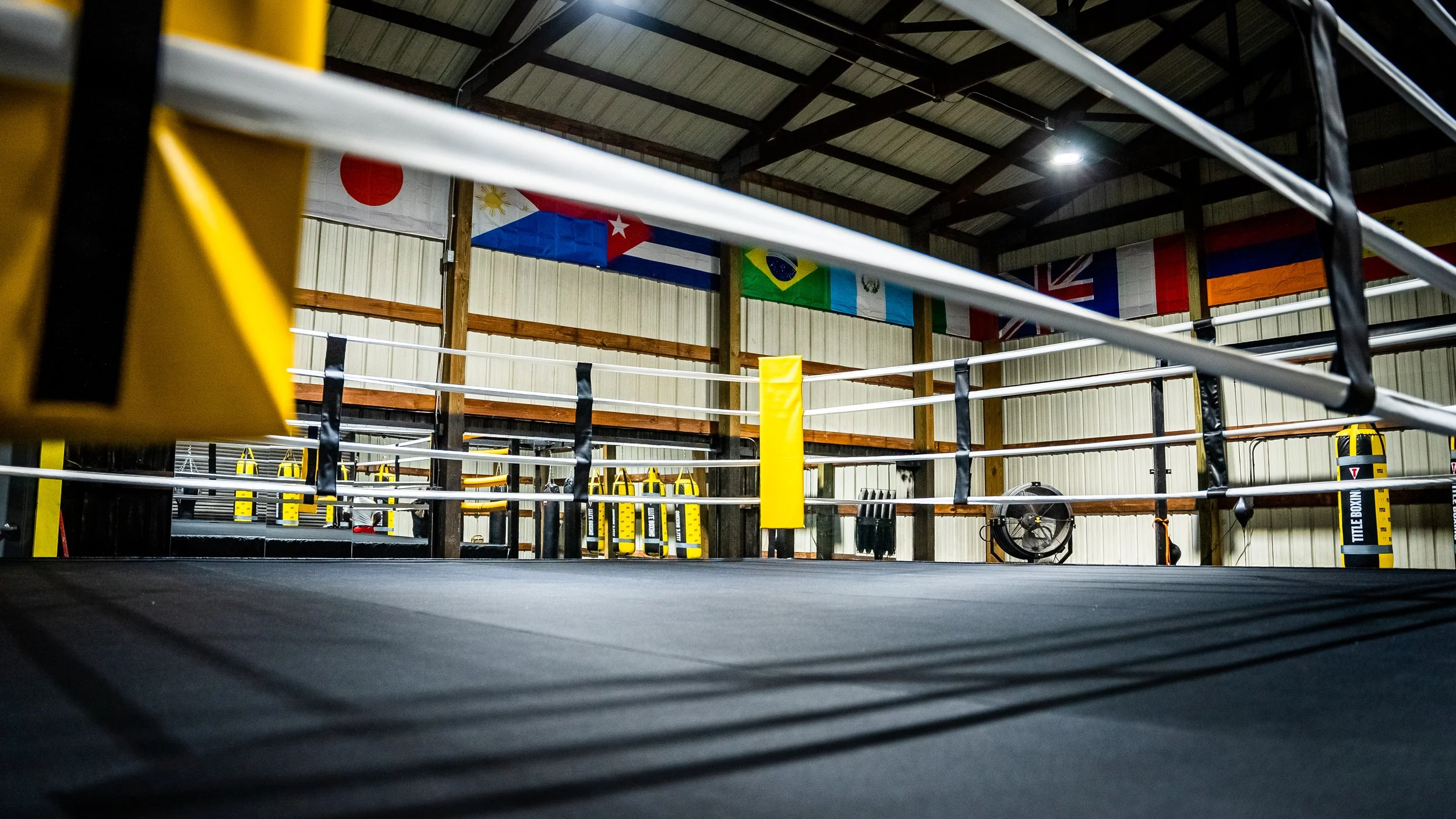 Art of Boxing USA
