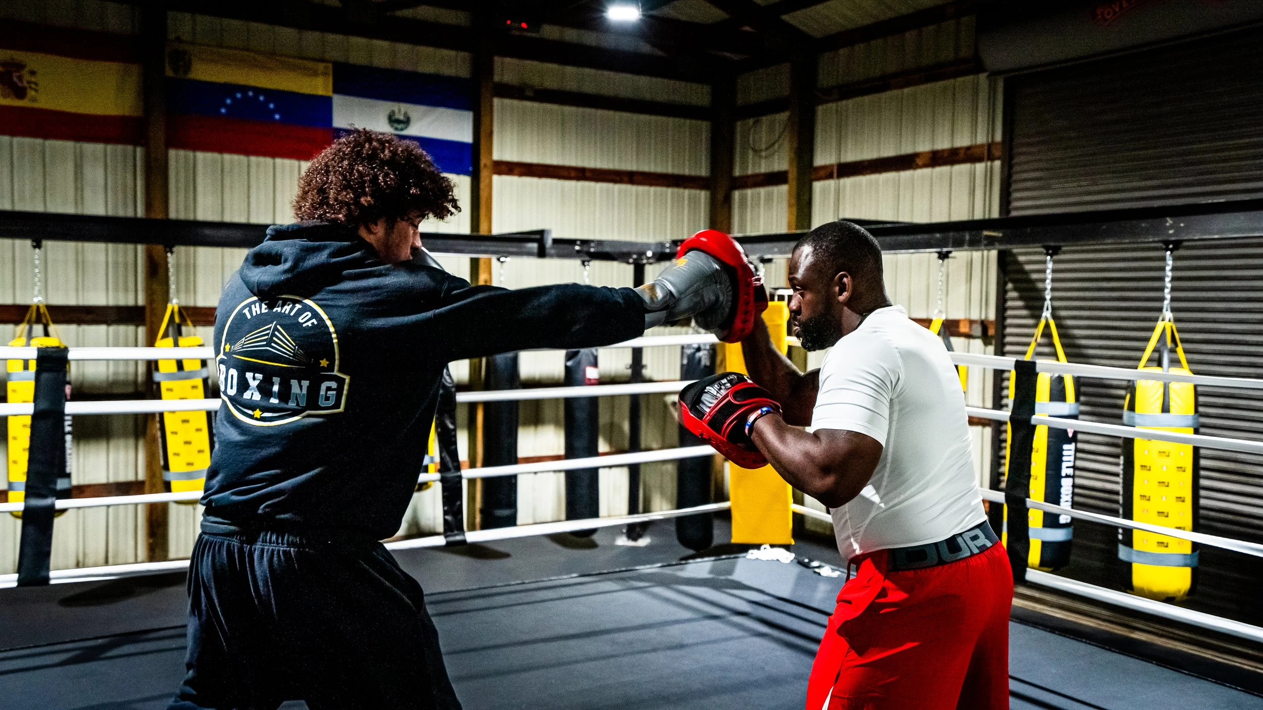 Art of Boxing USA gym