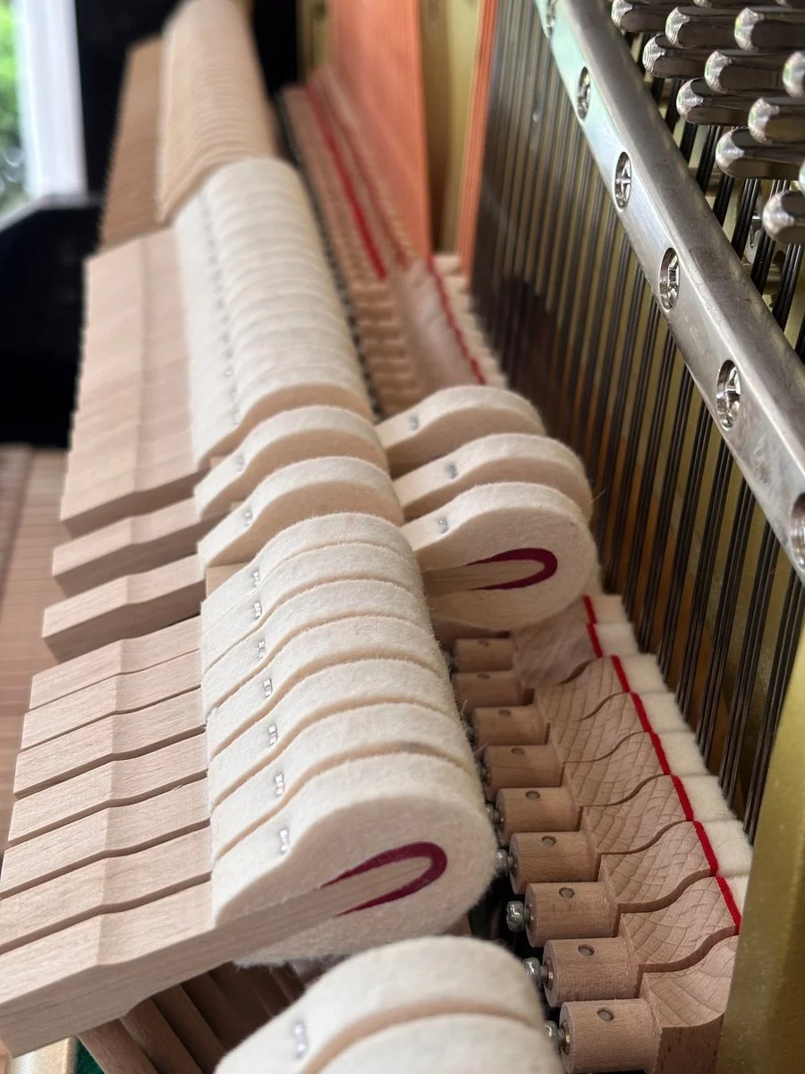 A row of felt hammers beside the strings and tuning pins of an upright piano.