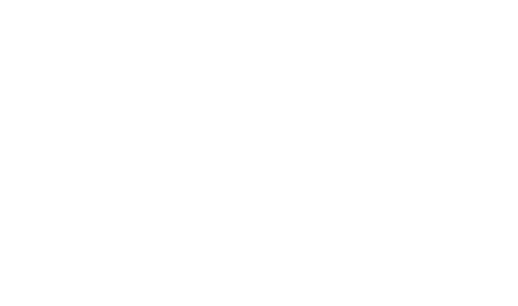 Logo 30