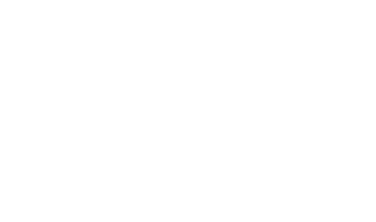 Logo 29