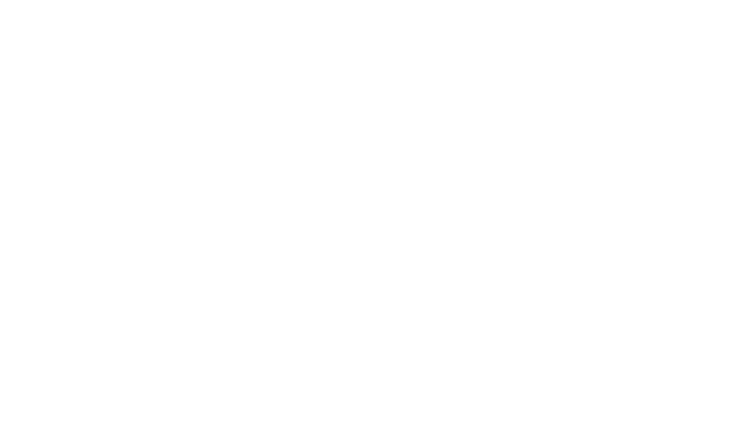 Logo 31