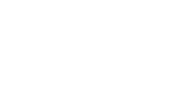 Logo 25