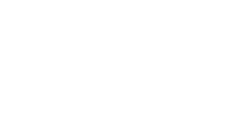Logo 17