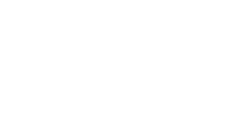 Logo 24