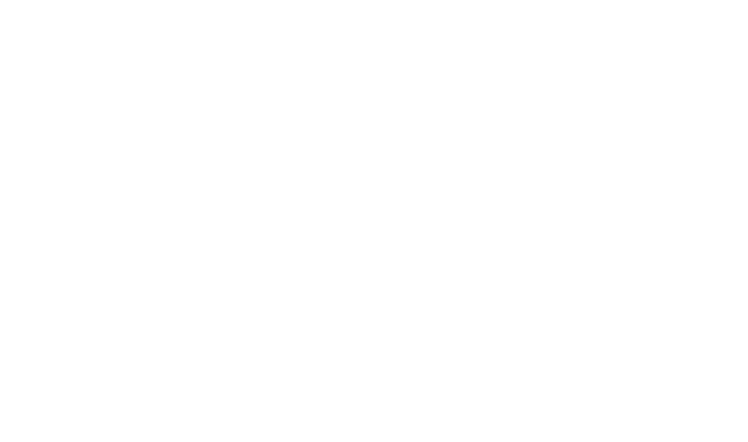 Logo 12