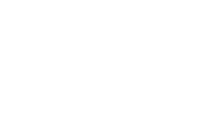Logo 13