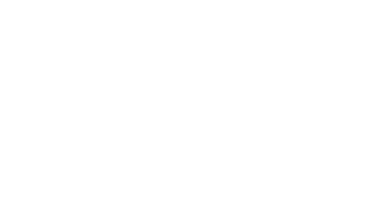 Logo 33