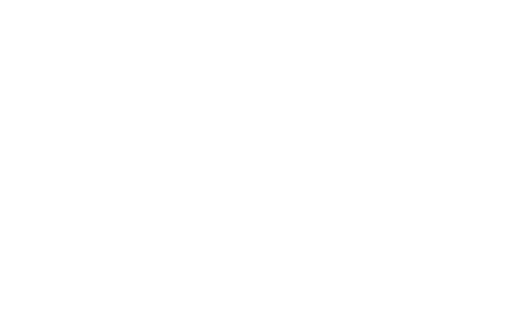 Logo 20