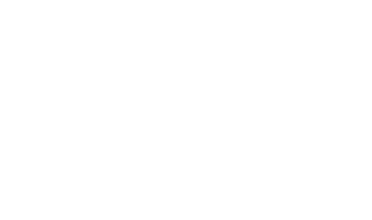 Logo 6