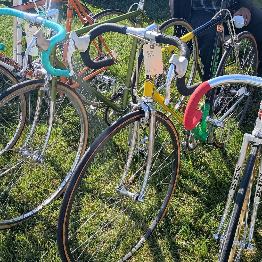 Vintage road bikes lined up on the grass