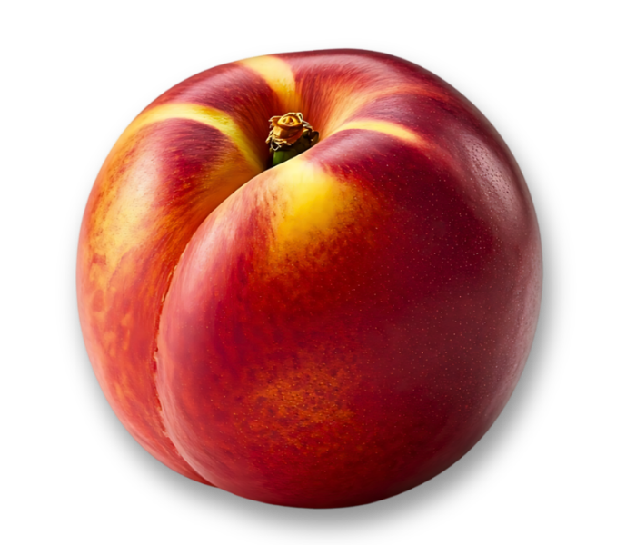 A solitary nectarine