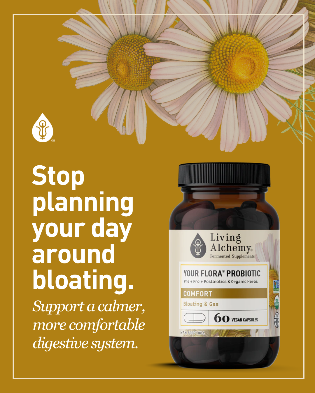 Living Alchemy ad