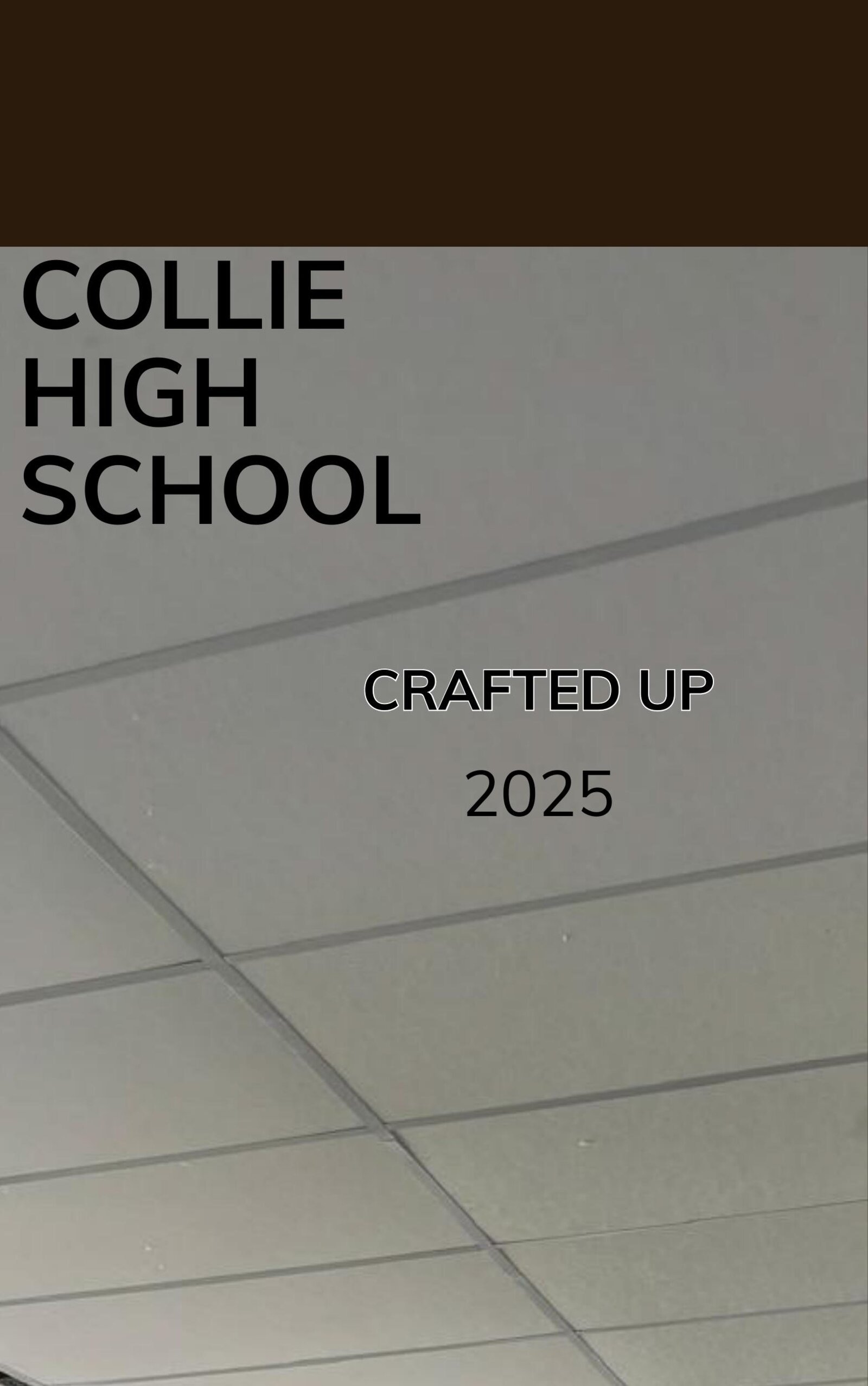 Completed mineral fibre ceiling tile grid at Collie Senior High School