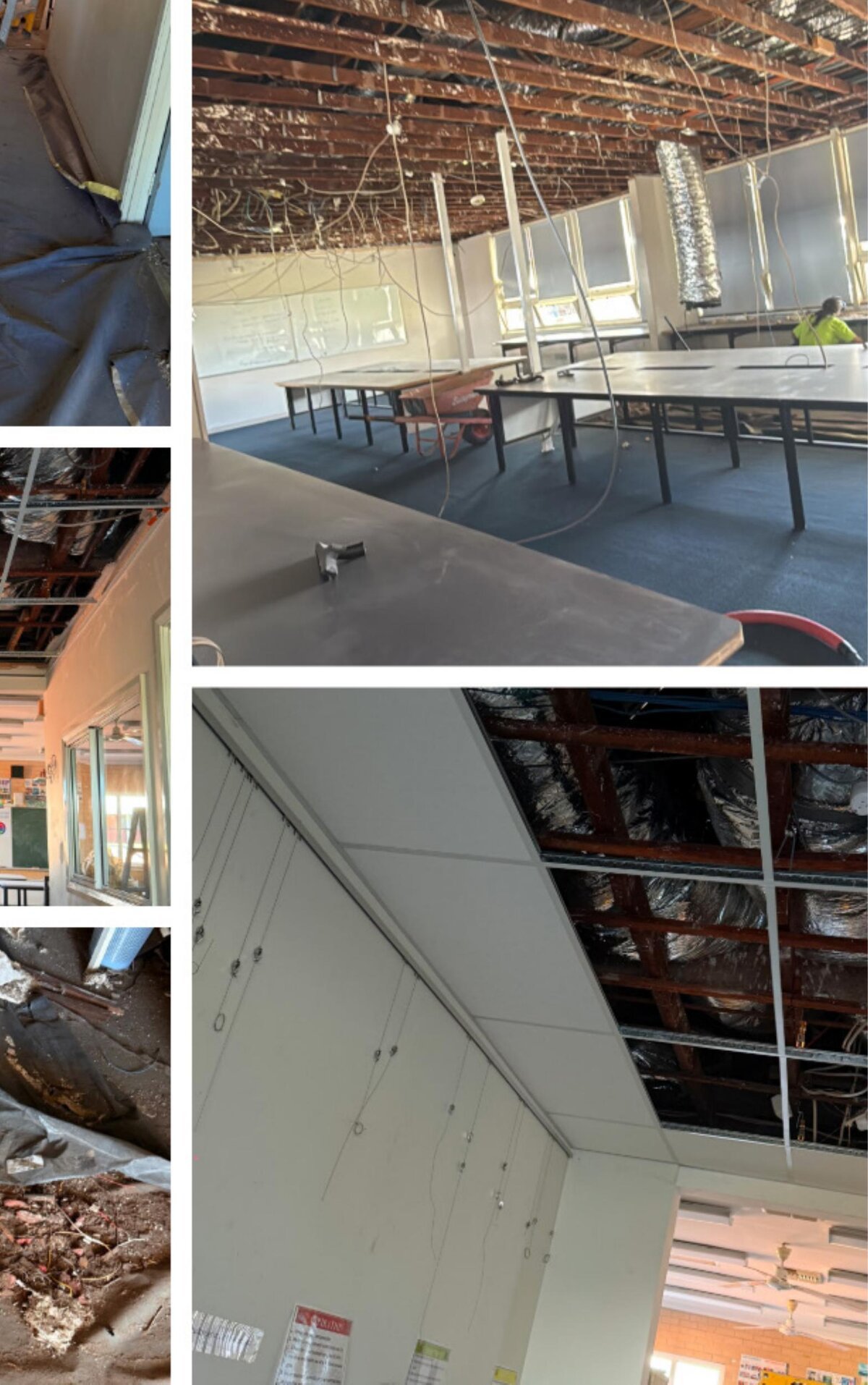 Demolition progress and T-bar grid installation beginning