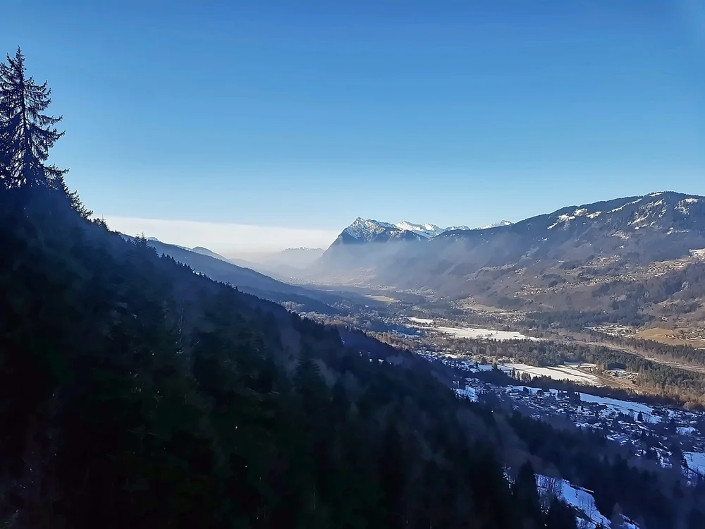 A view down an alpine valley under a deep blue sky, with dark pine forest in the foreground and a village far below