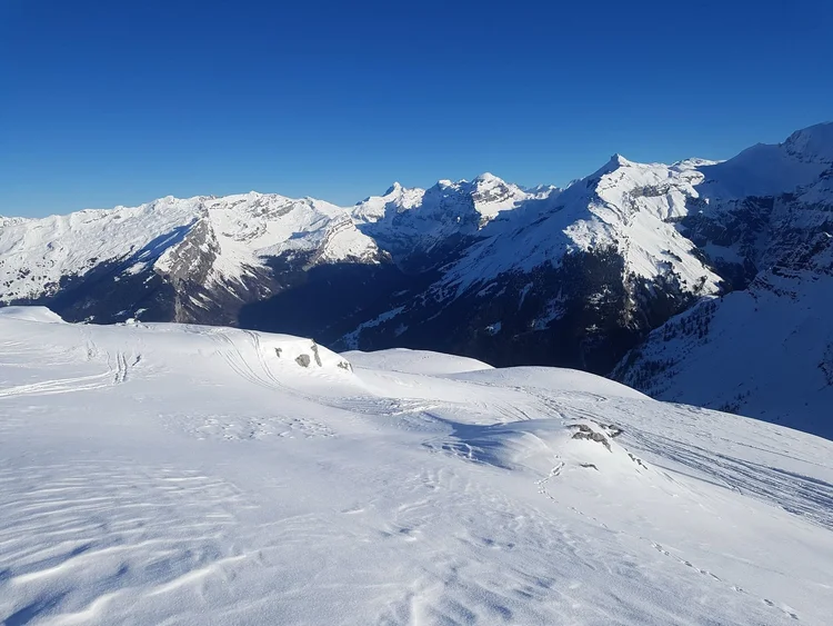 Snow-covered peaks under a clear blue sky, with ski tracks in fresh snow
