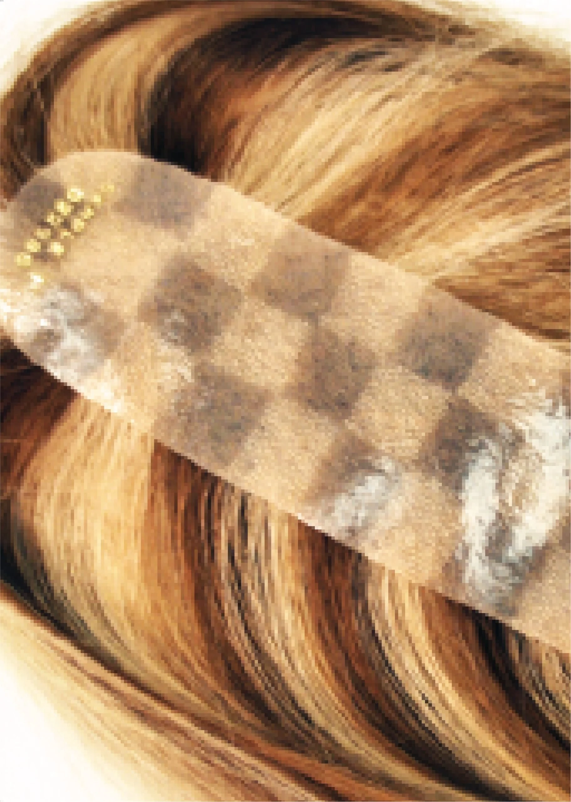 Top of head piece hair system example at Another Look Hair Institute