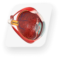 Knop: selecteer Eye
