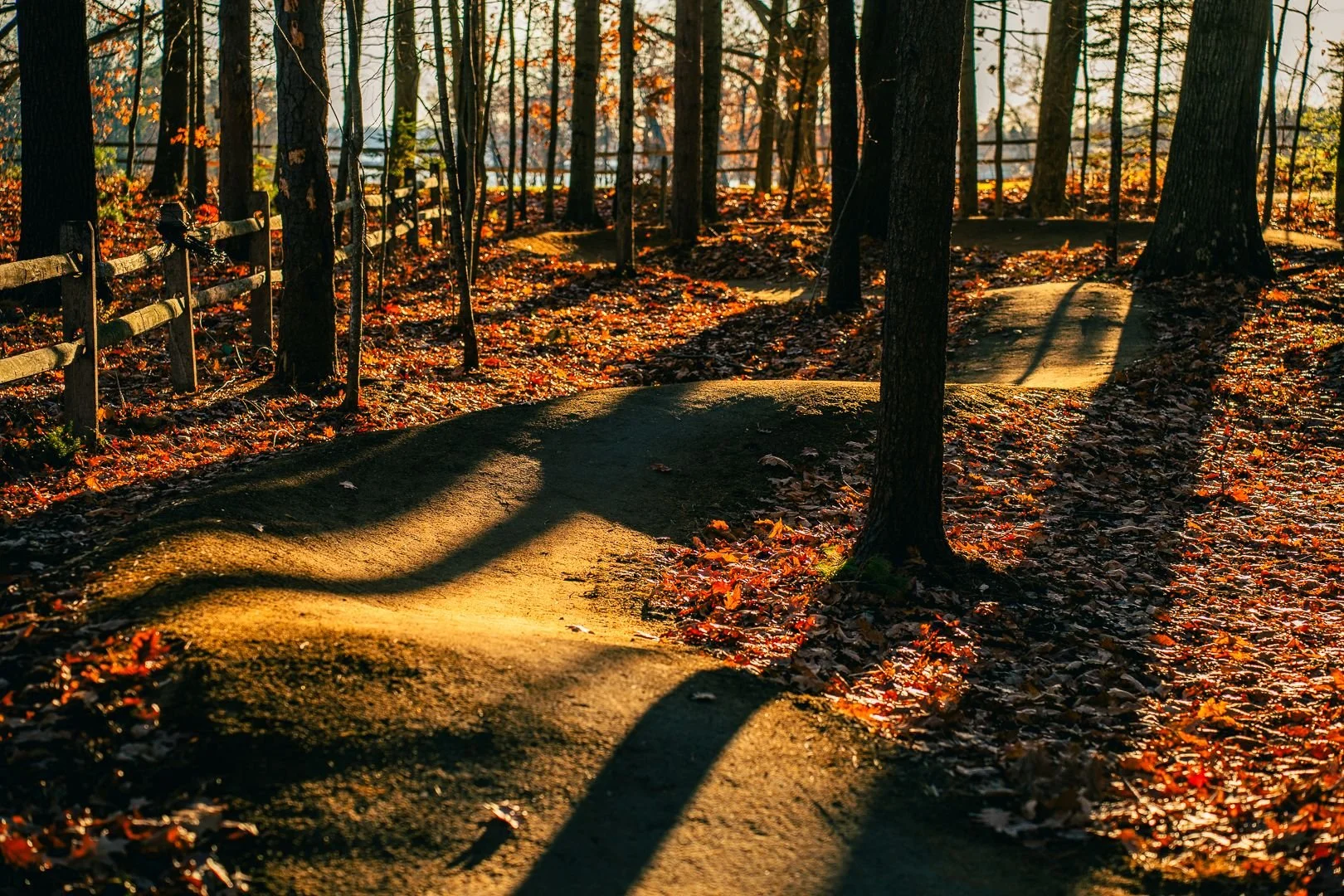 stark shadows cascade across a smooth rolling mountain bike flow trail