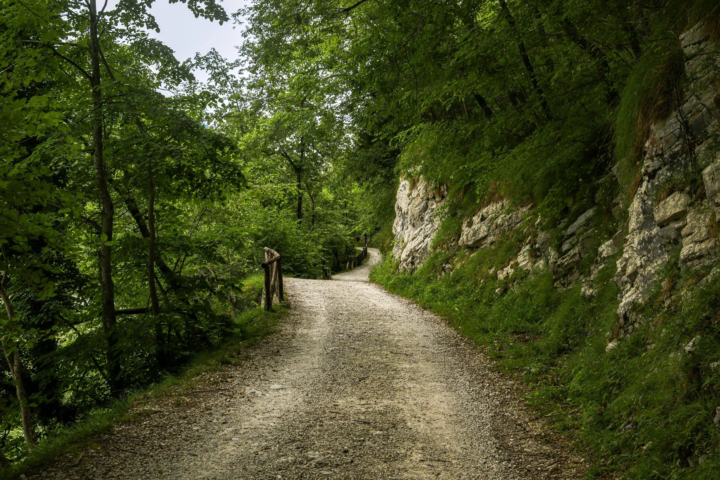 a section of stone dust hiking trail winds through the woods