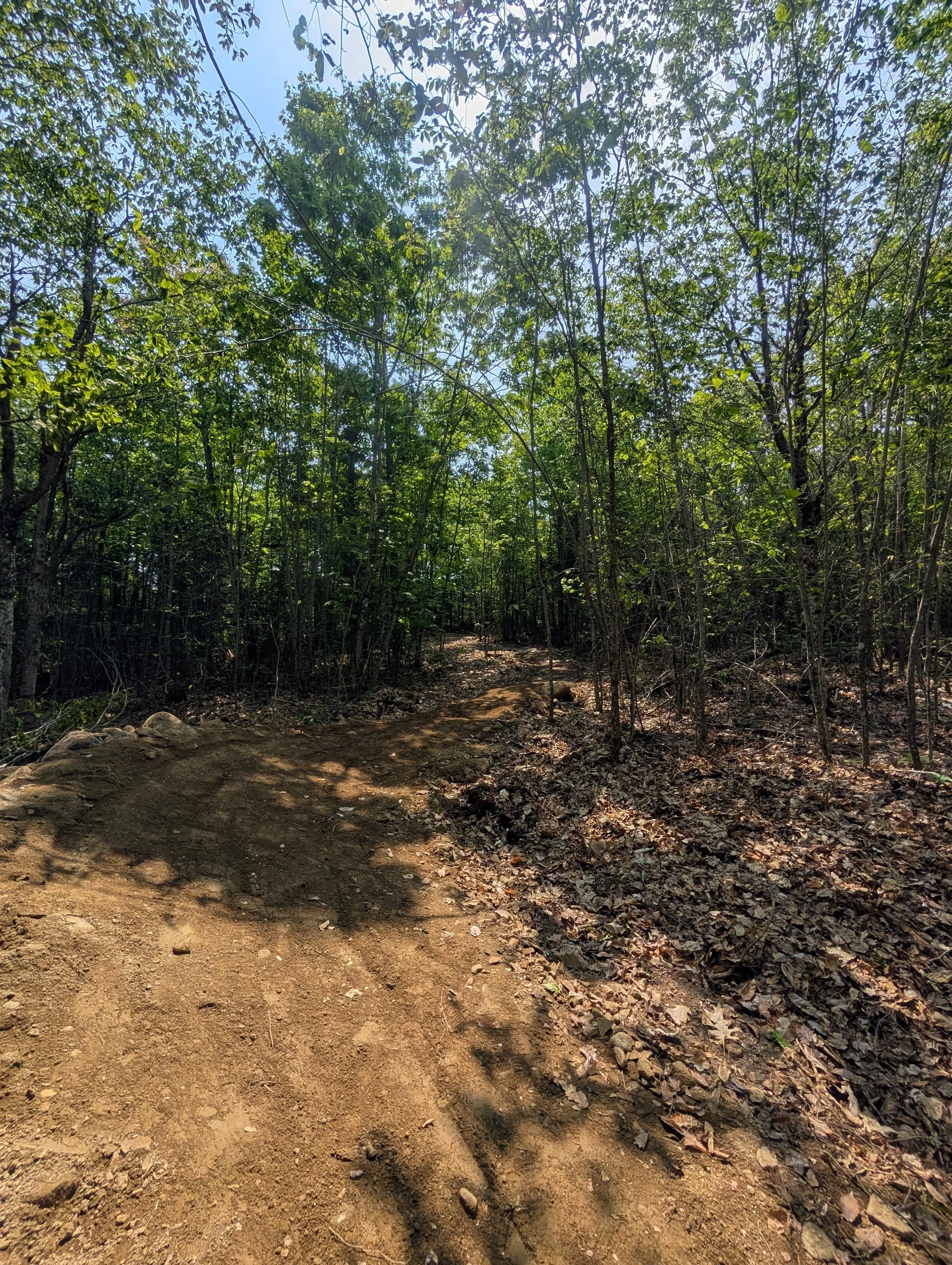 a section of machine bench cut hiking trail